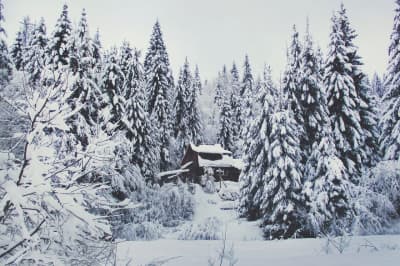 Карпати взимку