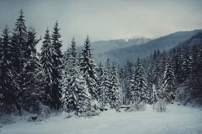 Зимові Карпати