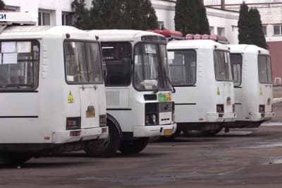 Автобусы