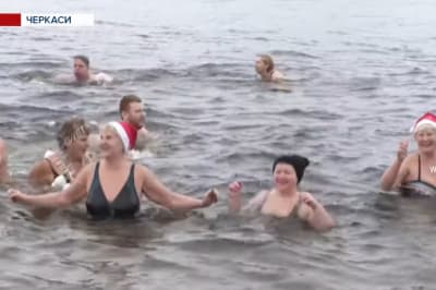 моржі