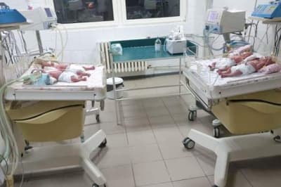 Четверня на Закарпатье