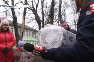Подарунок