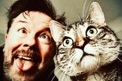 Рікі Джервайс і його котик