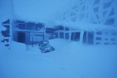 Карпати засипало снігом