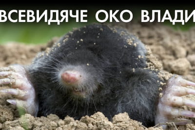 "Время Ч"