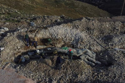 Дерево з Лесбоса