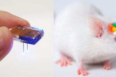 Керування щуром через додаток у смартфоні