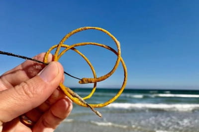 Загадкове створіння