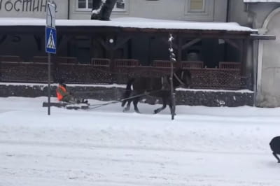 Коммунальщик на коне