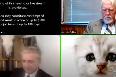 Кошачья маска