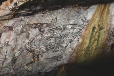 Наскальний малюнок з кенгуру