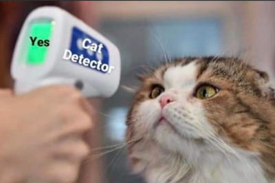 детектор кота