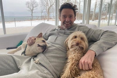 Г'ю Джекман 