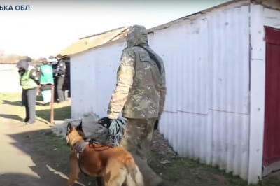 Поліція