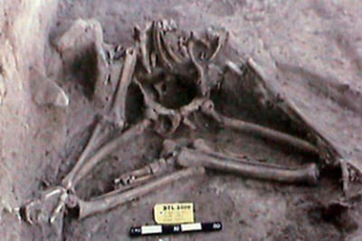 Залишки йога