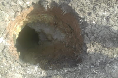 Пещера Ледникового периода