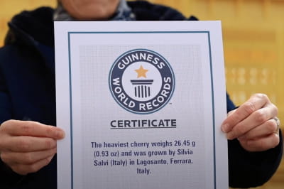 Вишню занесено до Книги рекордів Гіннеса