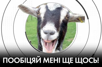 "Время Ч"