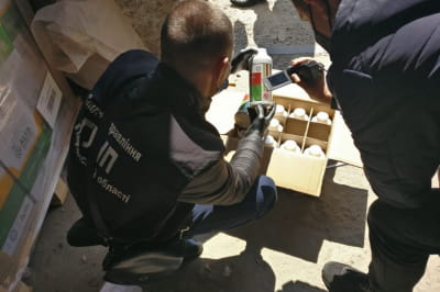 Обшуки на фермерському господарстві