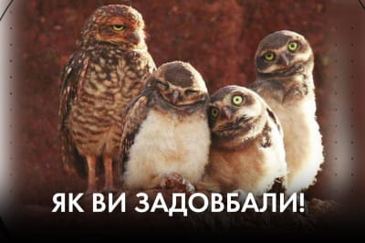 Час Ч