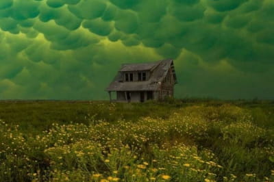 Невероятные фото