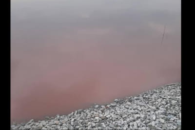 Ставок під Дніпром 