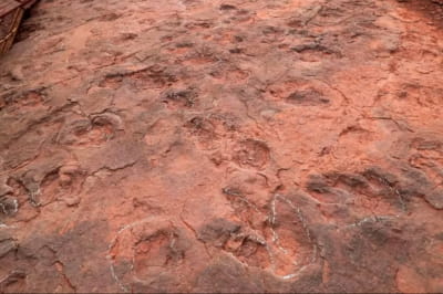 танцмайданчик динозаврів