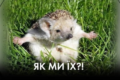 "Час Ч"