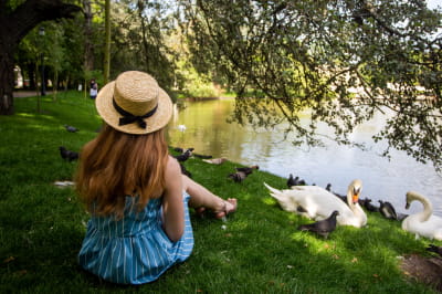 Літо на ВДНГ