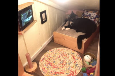 Дом для кота