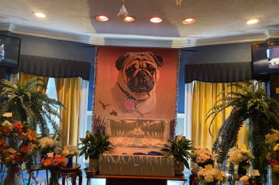 Похорон собаки