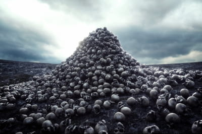 Человеческие черепа