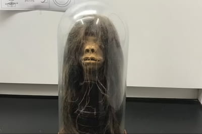 Высушенная голова