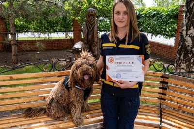 Песик стал дипломированным психотерапевтом