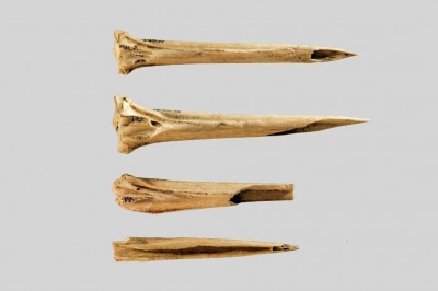 Найдавніші інструменти для татуювань 