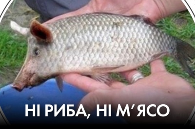 "Час Ч"