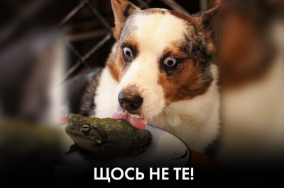 "Час Ч"