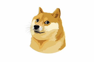 Мем Doge