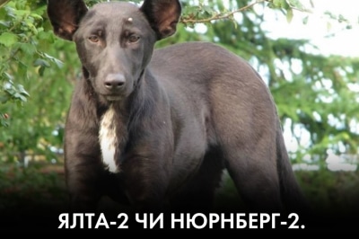 "Время Ч"