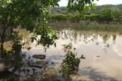 Затоплене село на Буковині