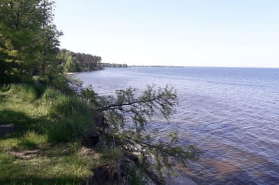 Київське водосховище