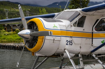DHC-2 Beaver