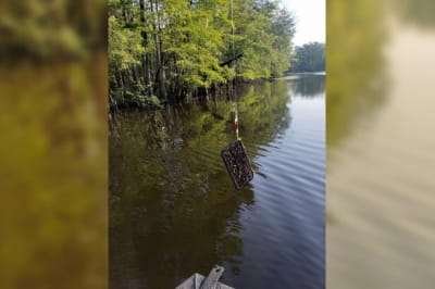 Знайдений iPhone під час риболовлі 