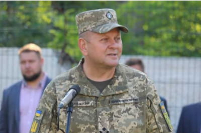 Валерий Залужный