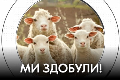 "Час Ч"