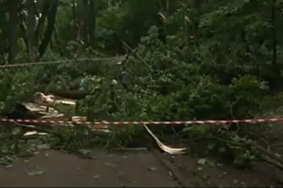 непогода во Львове