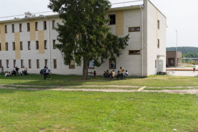 Мігранти