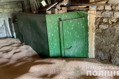 Сушарка для фруктів