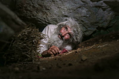 Панта Петрович