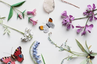 Творчість Кейт Като 